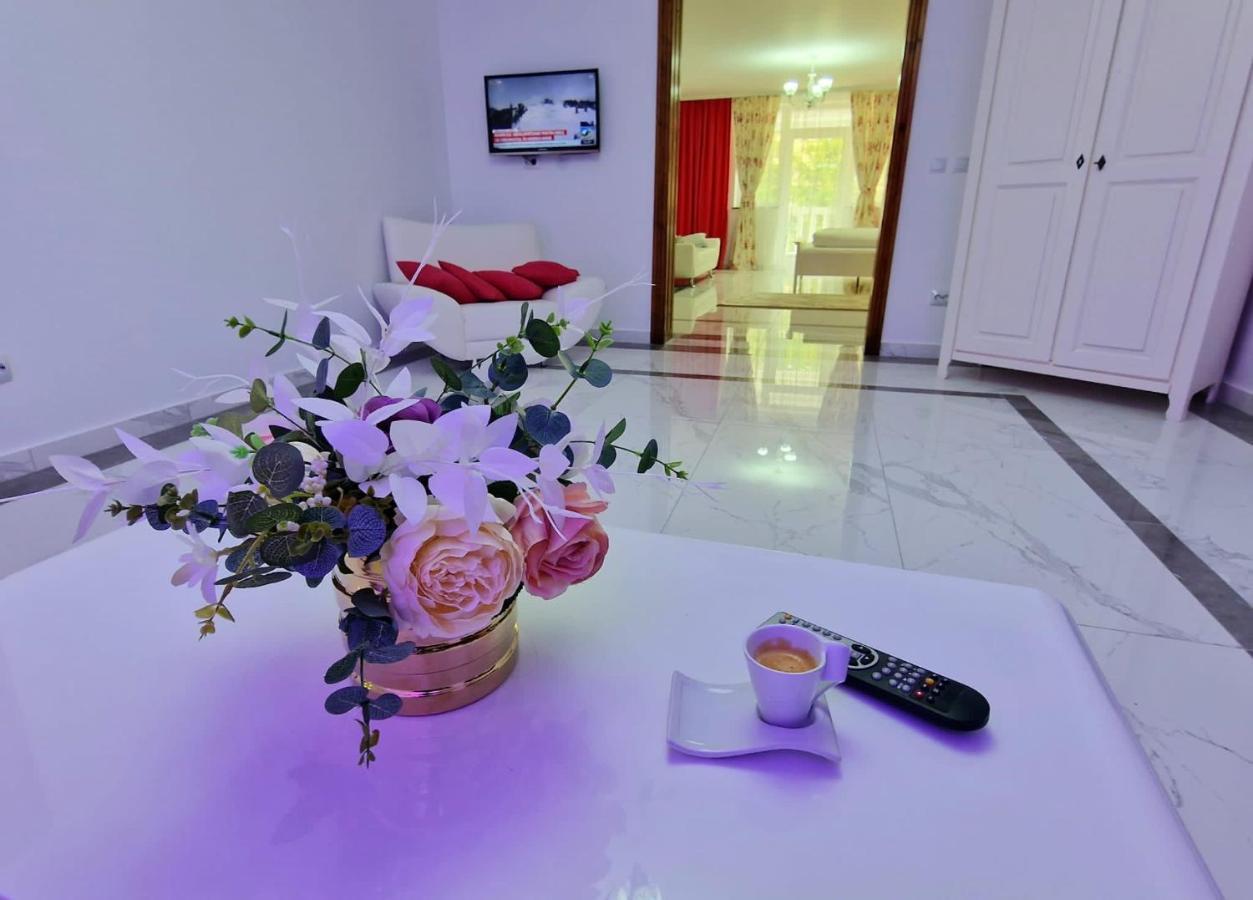 Hotel Casa Avram Suczawica Zewnętrze zdjęcie