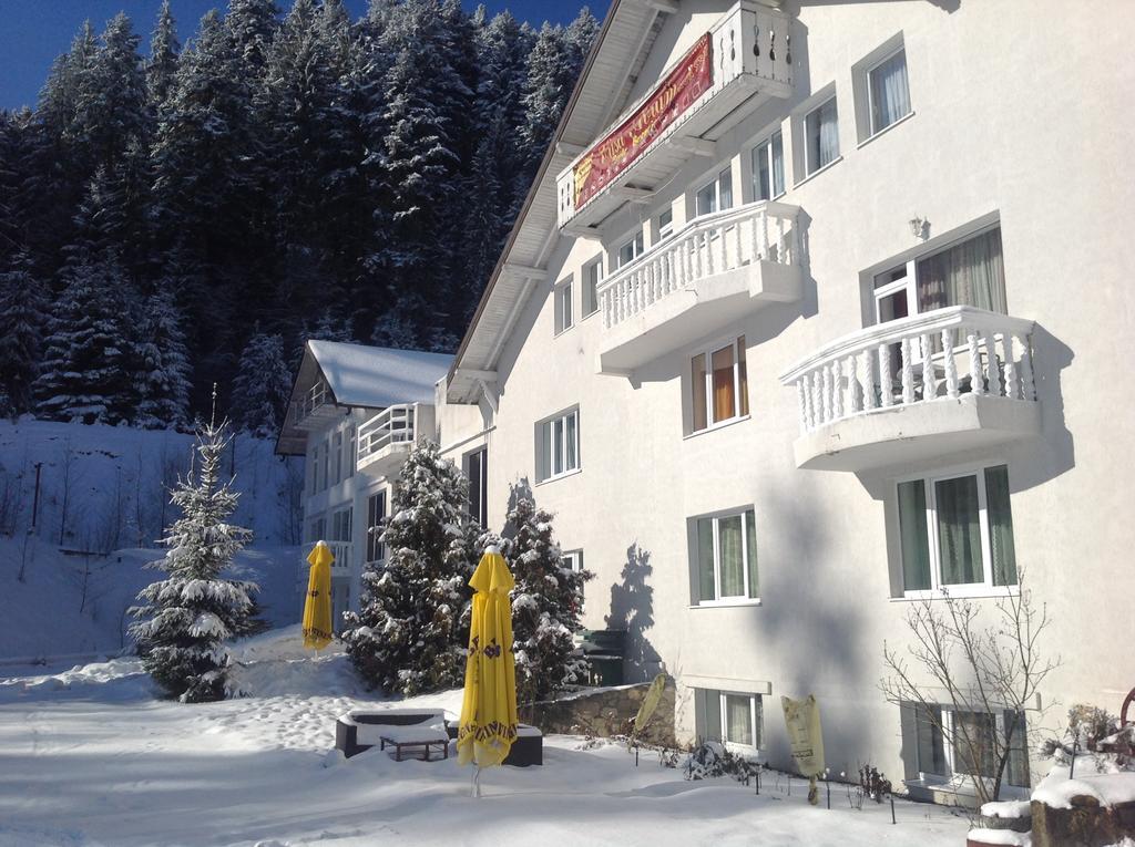 Hotel Casa Avram Suczawica Zewnętrze zdjęcie
